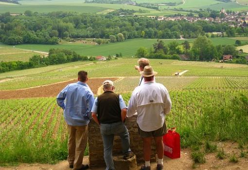 Visita a una bodega en Borgoña